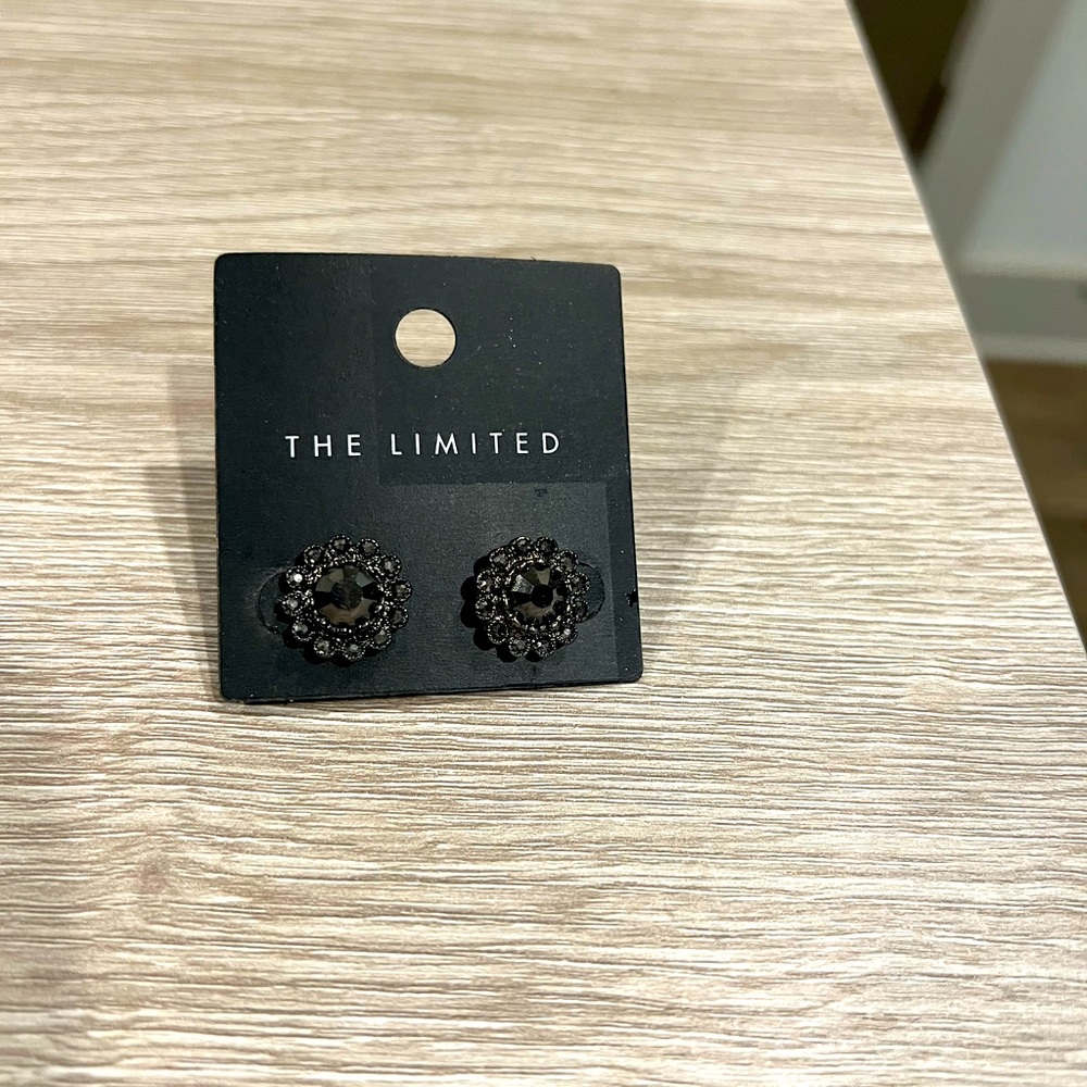 Beautiful black Earrings from The Limited